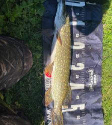photo prise 47937 par Rimshot12