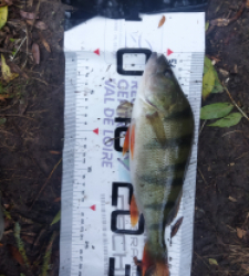 photo prise 47977 par Mc fish 