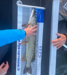 photo prise 47990 par jean-philippe