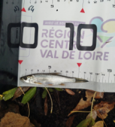 photo prise 47993 par Tom37