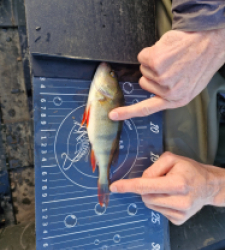 photo prise 48018 par François.Hdt