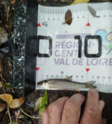 photo prise 48020 par Tom37