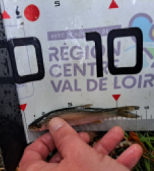 photo prise 48023 par FISH1MAX
