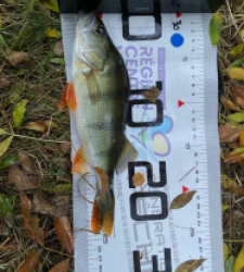 photo prise 48041 par Eddyfishing 