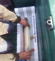 photo prise 48132 par Juju22