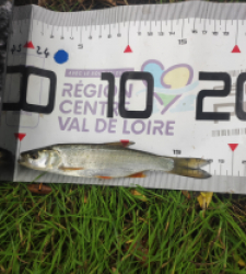 photo prise 48143 par GuiZ viens on pêche