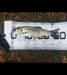 photo prise 48178 par Mc fish 