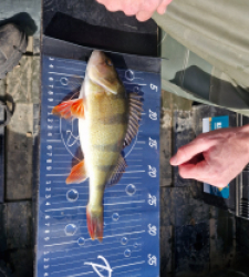 photo prise 48196 par MaxB