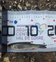 photo prise 48219 par GuiZ viens on pêche