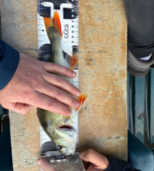 photo prise 48259 par Didier65