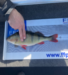 photo prise 48305 par Jonathan