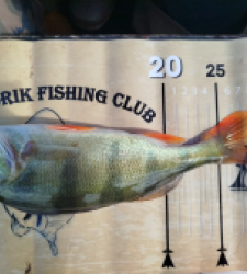 photo prise 48313 par Tj.boat