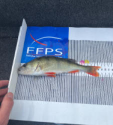 photo prise 48322 par Jonathan