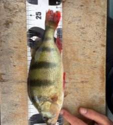 photo prise 48329 par mewen