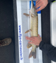 photo prise 48335 par Jonathan