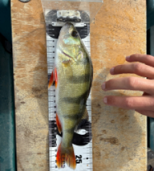 photo prise 48357 par François.Hdt