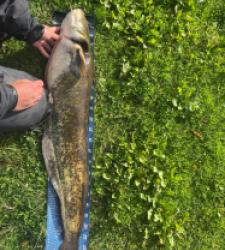 photo prise 48359 par HILLION ADRIEN