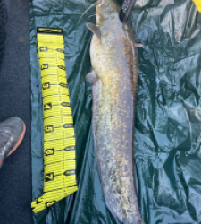 photo prise 48434 par HILLION ADRIEN