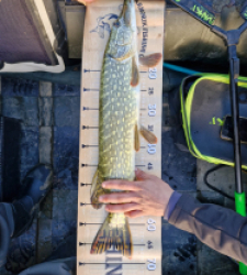 photo prise 48443 par Juju22