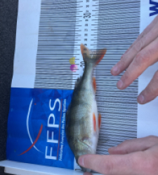 photo prise 48553 par Didier65