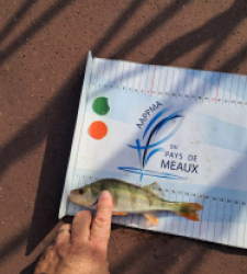 photo prise 48646 par gege10