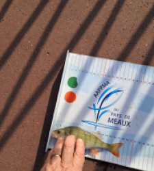 photo prise 48658 par gege10