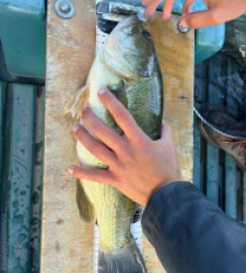 photo prise 48669 par Flo