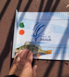 photo prise 48698 par gege10
