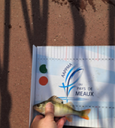 photo prise 48724 par gege10