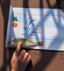 photo prise 48741 par gege10