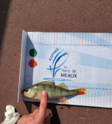 photo prise 48844 par gege10