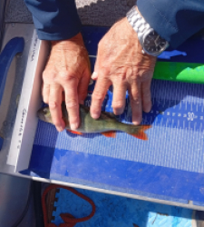 photo prise 48943 par Le pêcheur fou