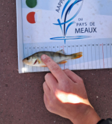 photo prise 49188 par gege10