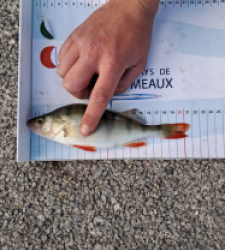 photo prise 49213 par gege10