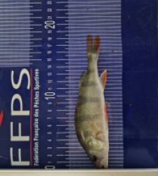 photo prise 49505 par Max2fishes