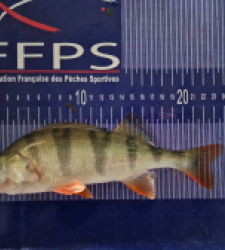 photo prise 49511 par Max2fishes