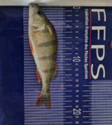 photo prise 49515 par Max2fishes