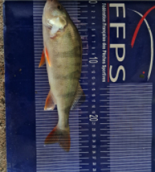 photo prise 49519 par Max2fishes