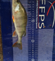 photo prise 49533 par Max2fishes