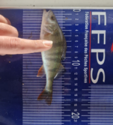 photo prise 49758 par Max2fishes