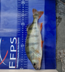 photo prise 50142 par Max2fishes