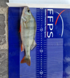 photo prise 50239 par Max2fishes