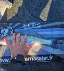 photo prise 50763 par Kroko_fishing_83 