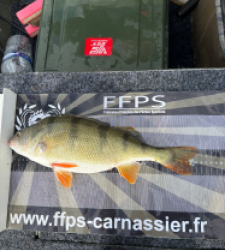 photo prise 50898 par Nicolas Mdn