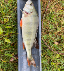 photo prise 51503 par Rimshot12