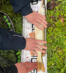 photo prise 51504 par MatiC02