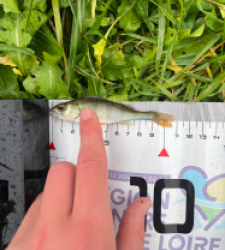 photo prise 51507 par MatiC02