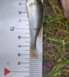 photo prise 51508 par chdadvisard