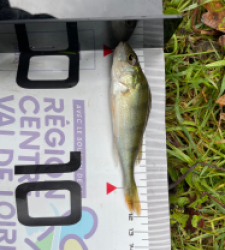 photo prise 51511 par lasben86