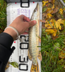 photo prise 51519 par MatiC02